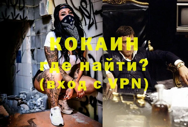 jwh Гусь-Хрустальный