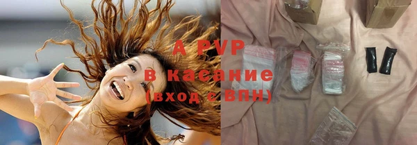 хмурый Гусев