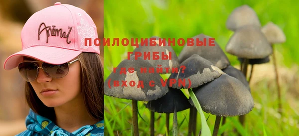 apvp Гусиноозёрск