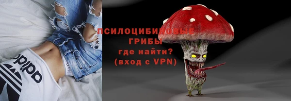 хмурый Гусев