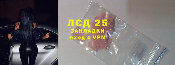 хмурый Гусев